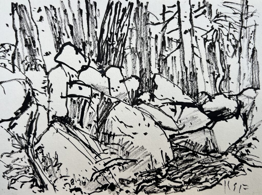 Drawing of a stonewall in woods near my home in Maine
