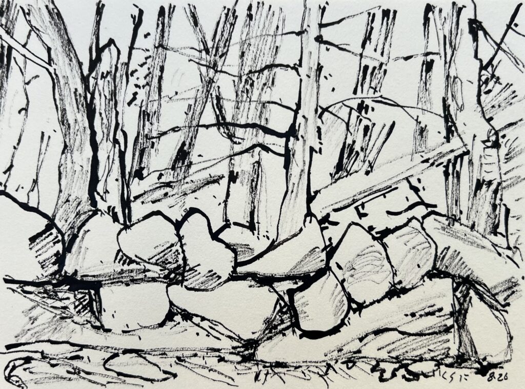 Stick and Ink Drawing